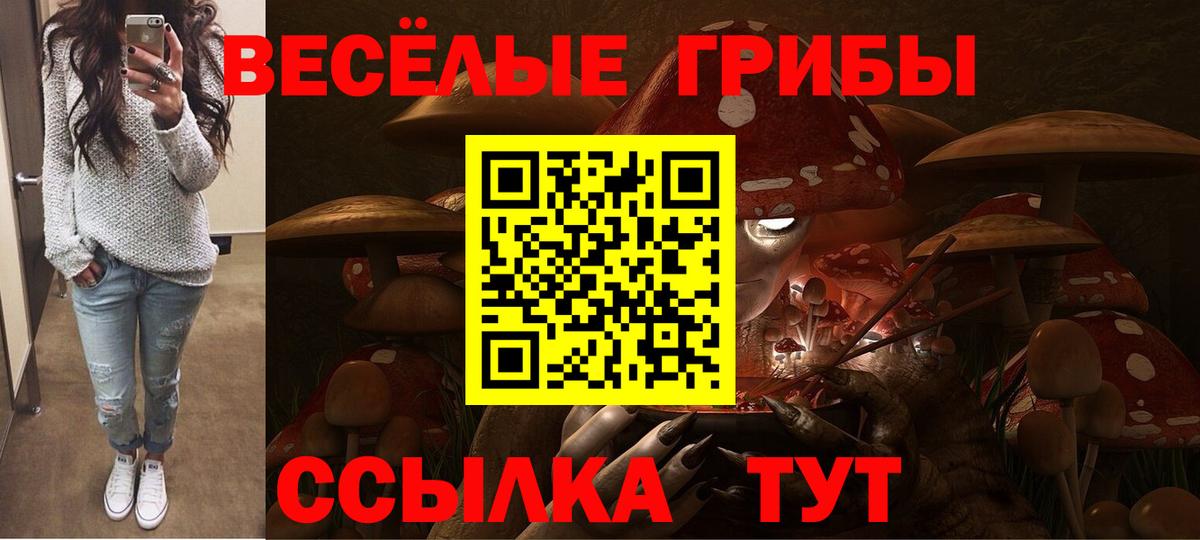 Галлюциногенные грибы Psilocybe Вышний Волочёк