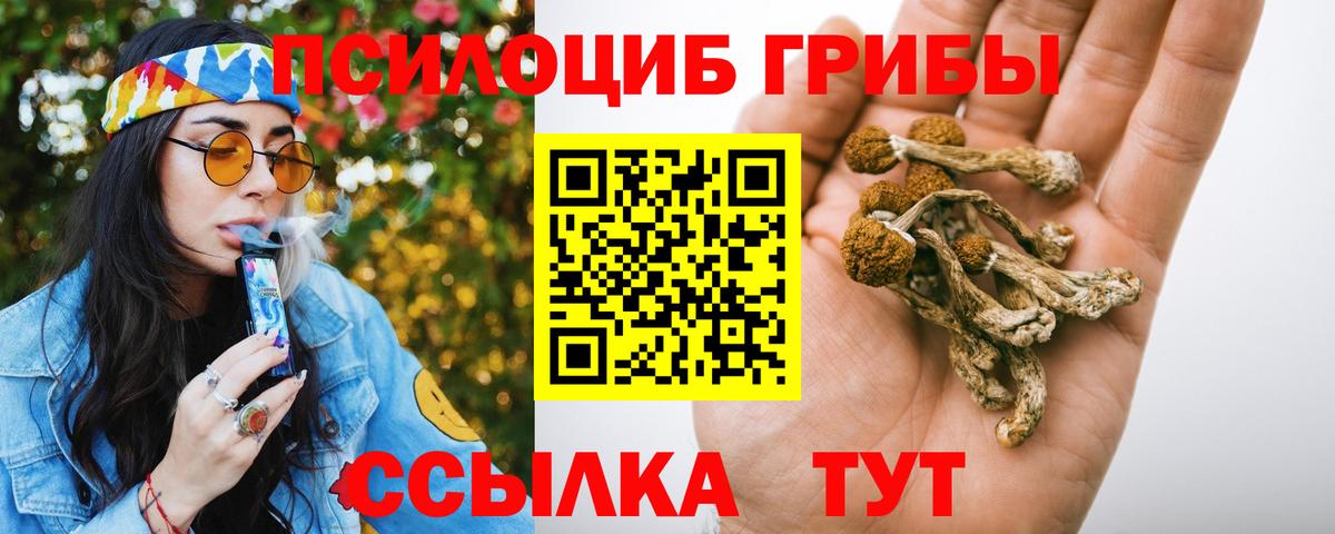 Вышний Волочёк  Галлюциногенные грибы мицелий  купить наркоту  Вход с VPN 